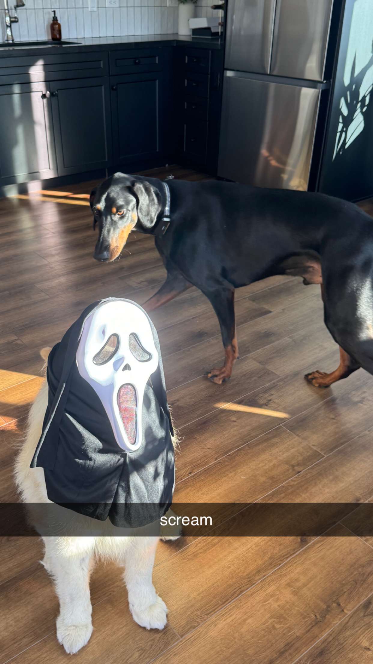 chloerosenbaum snapchat image archive image