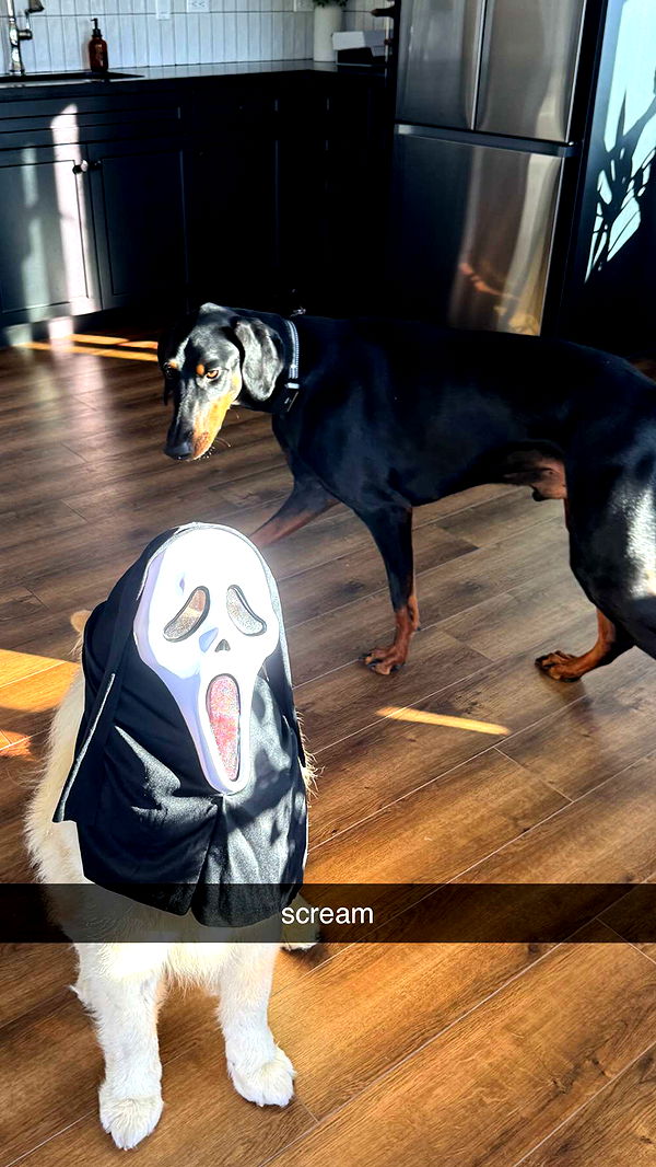 chloerosenbaum image ~ Altpins