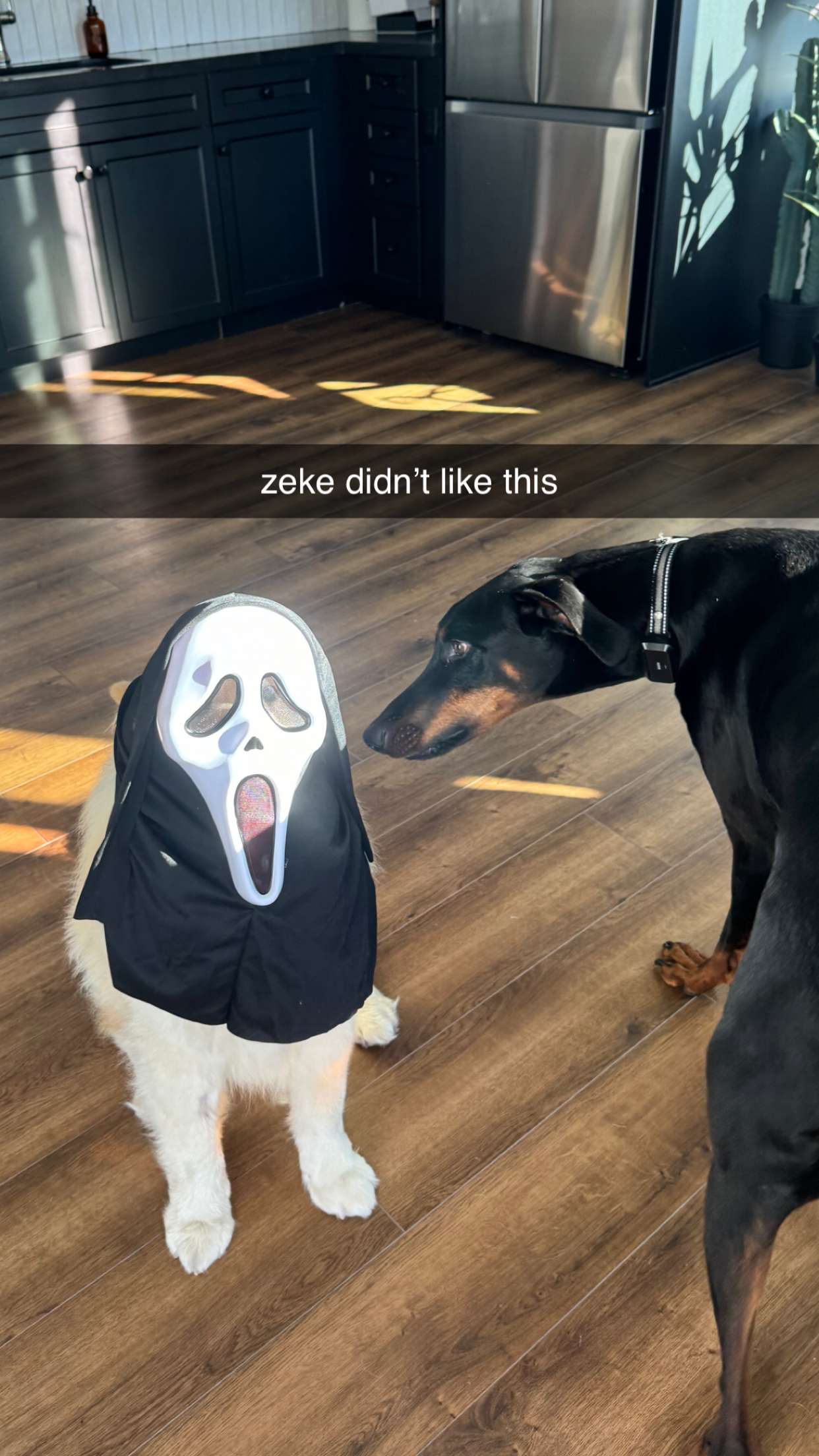 chloerosenbaum snapchat image archive image