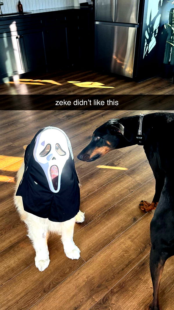 chloerosenbaum image ~ Altpins