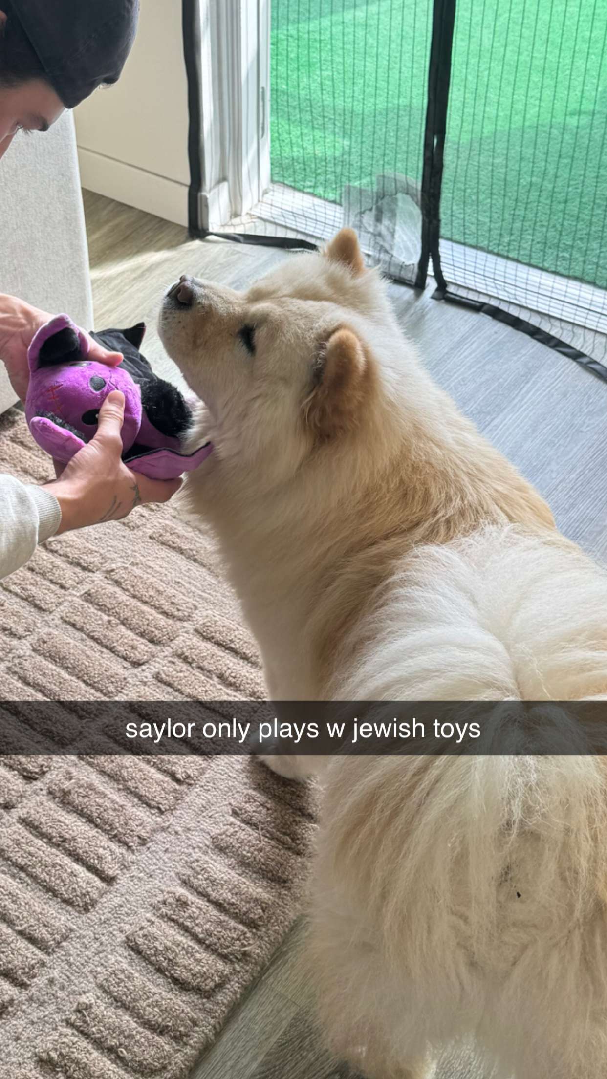 chloerosenbaum snapchat image archive image