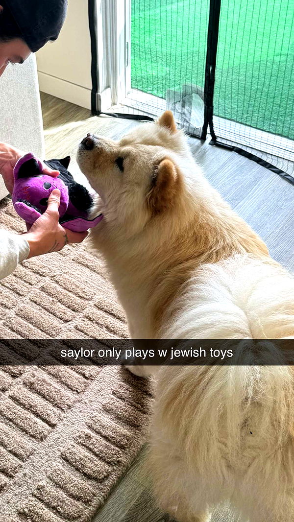 chloerosenbaum image ~ Altpins