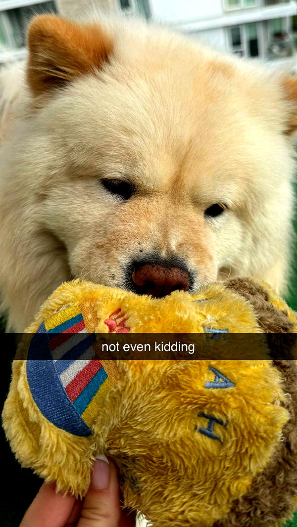 chloerosenbaum image ~ Altpins