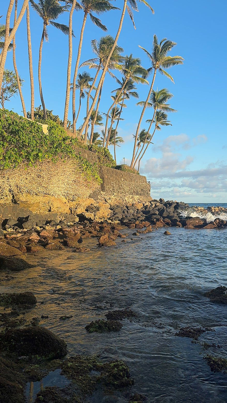 chloerosenbaum snapchat image archive image