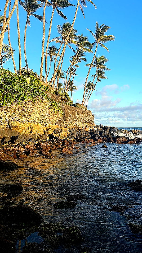 chloerosenbaum image ~ Altpins