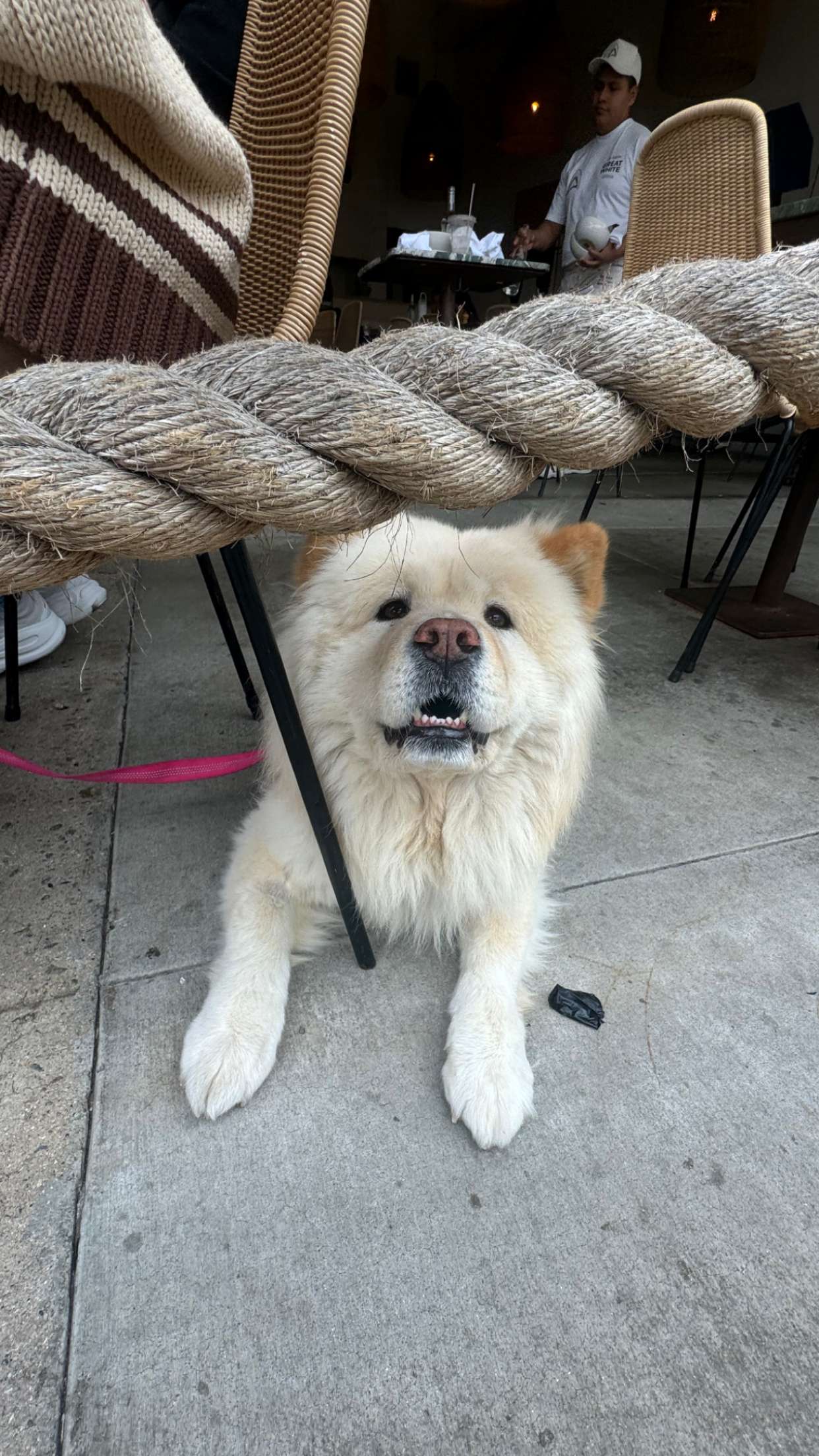 chloerosenbaum snapchat image archive image