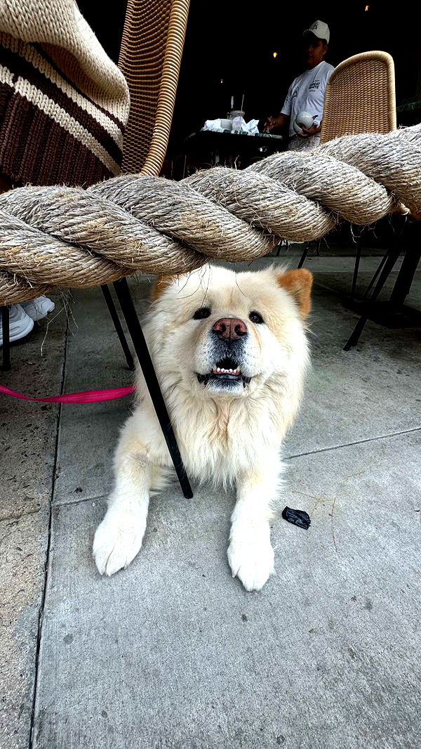 chloerosenbaum image ~ Altpins