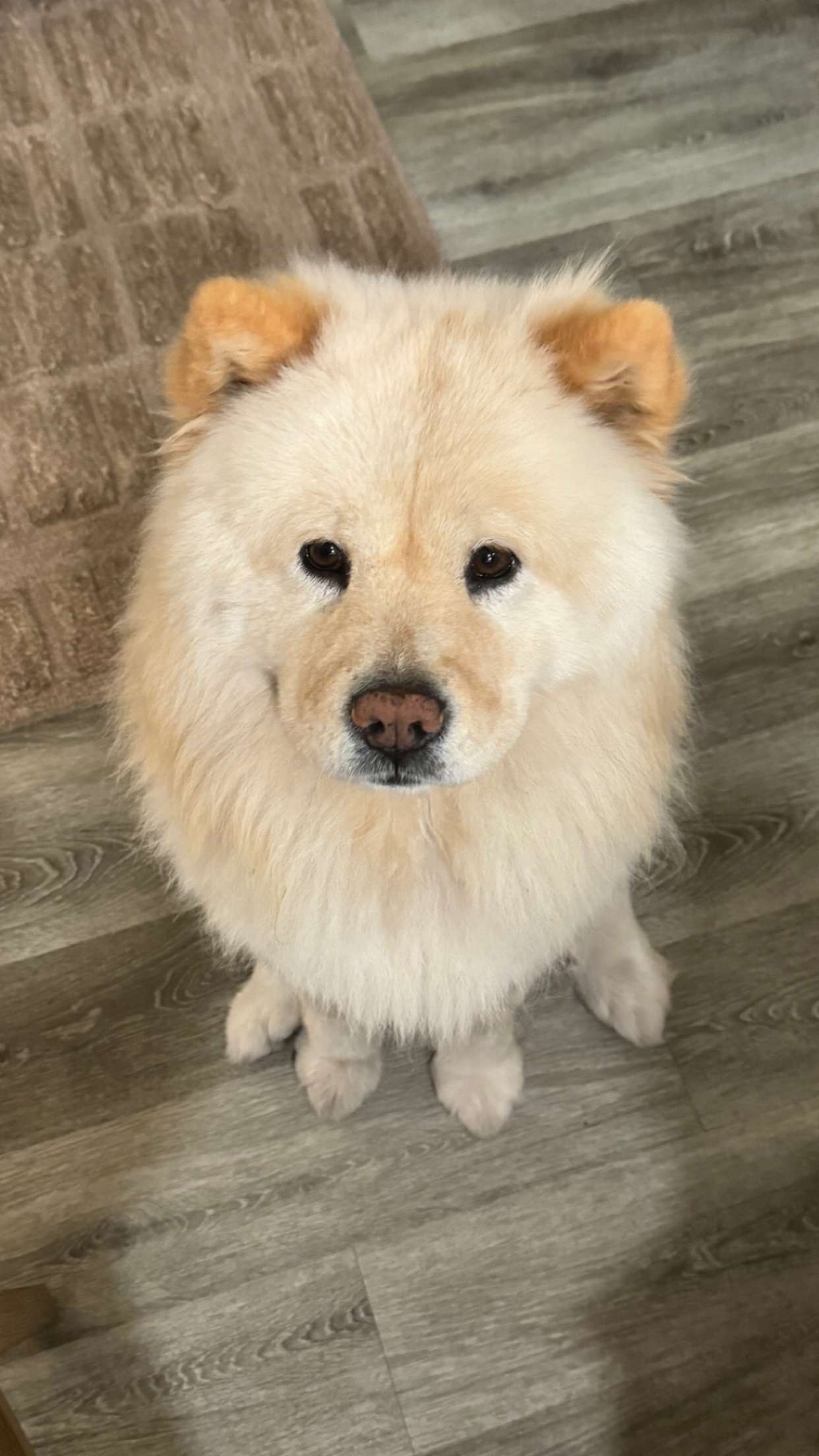 chloerosenbaum snapchat image archive image