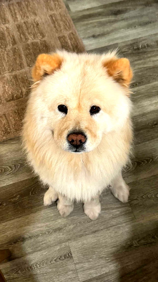 chloerosenbaum image ~ Altpins