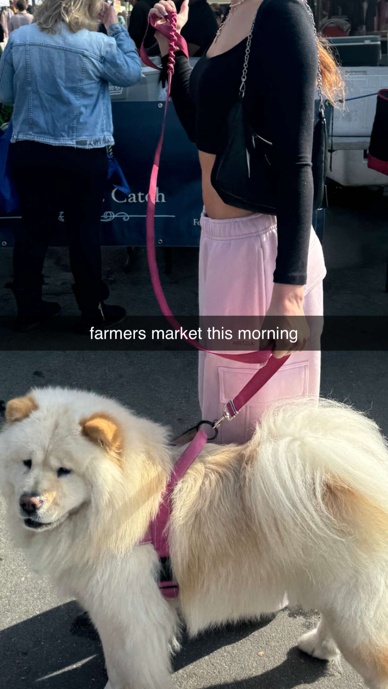 chloerosenbaum snapchat image archive image