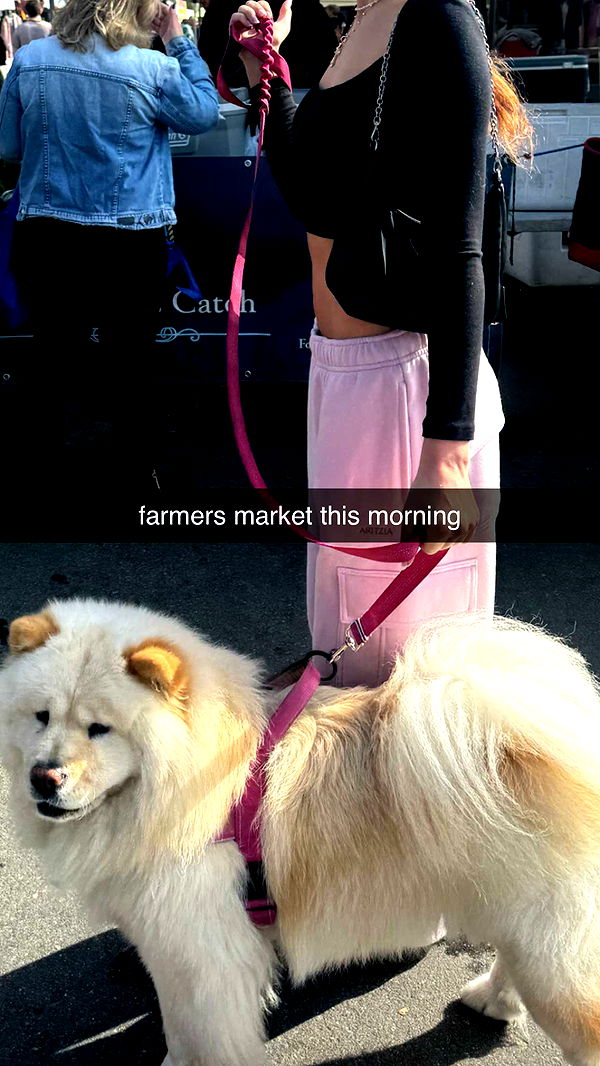 chloerosenbaum image ~ Altpins