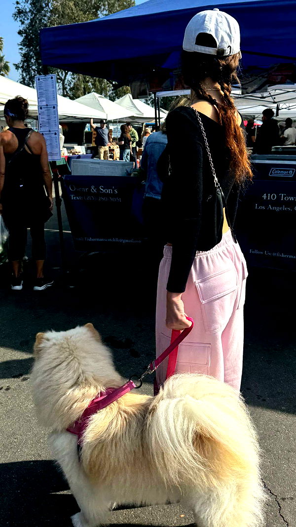 chloerosenbaum image ~ Altpins