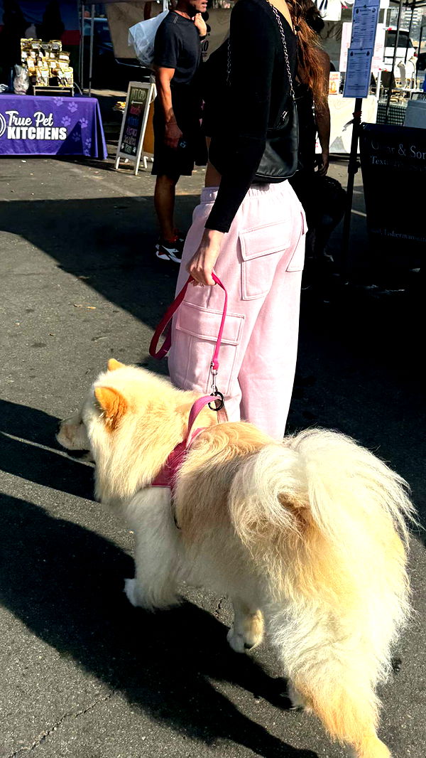 chloerosenbaum image ~ Altpins