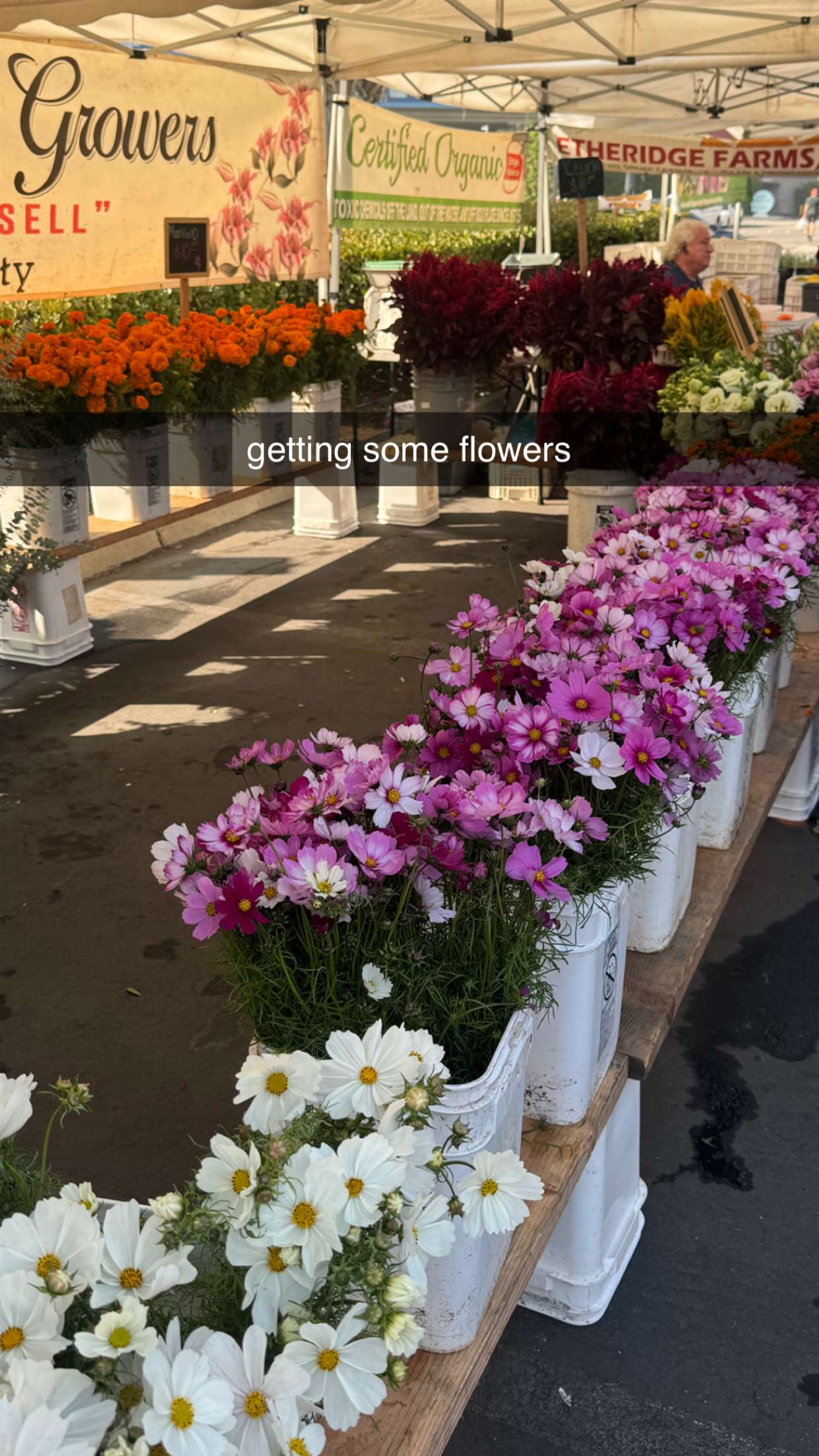 chloerosenbaum snapchat image archive image