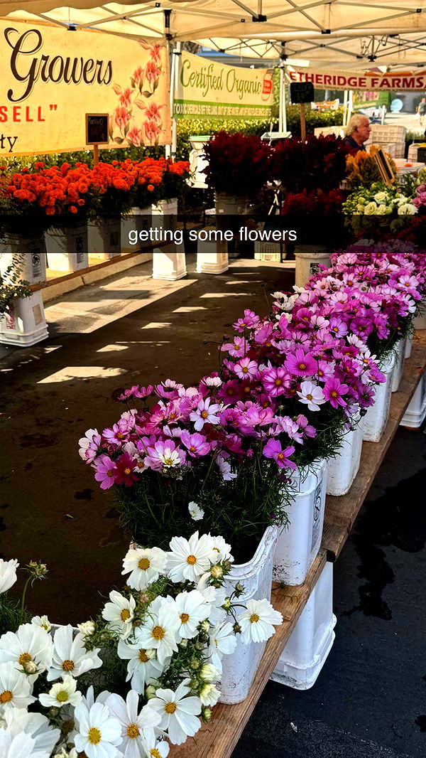 chloerosenbaum image ~ Altpins