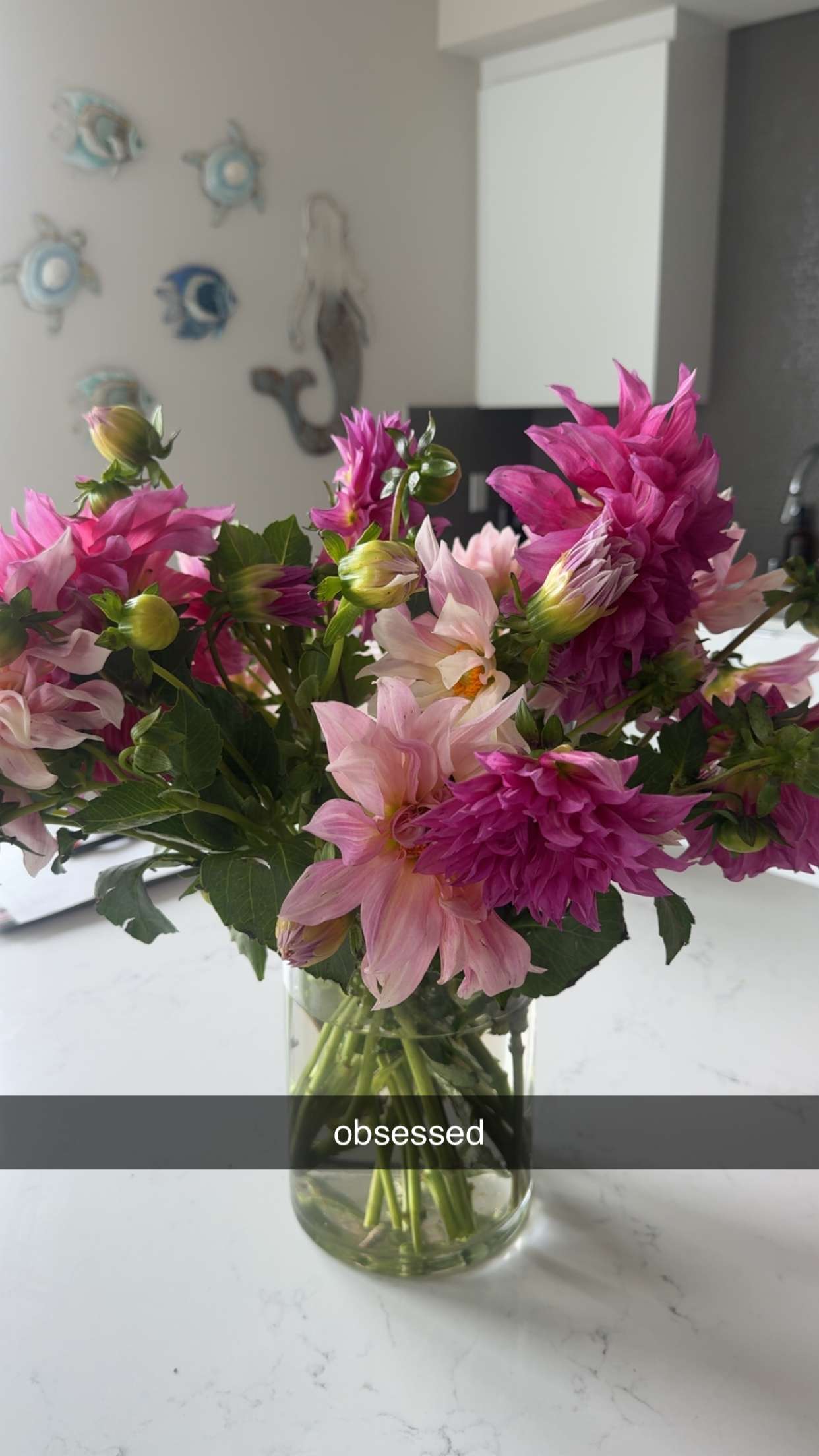 chloerosenbaum snapchat image archive image