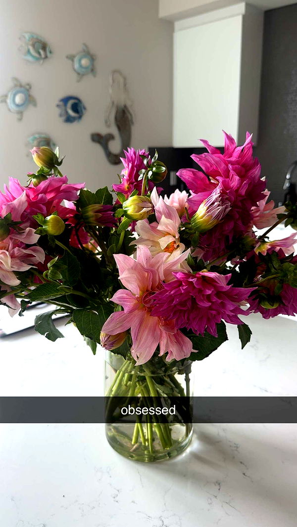 chloerosenbaum image ~ Altpins