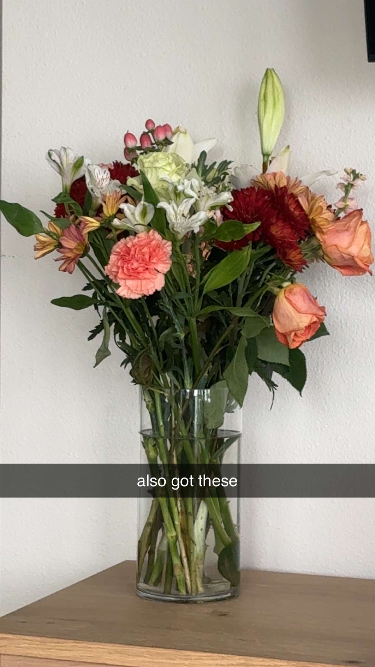 chloerosenbaum snapchat image archive image