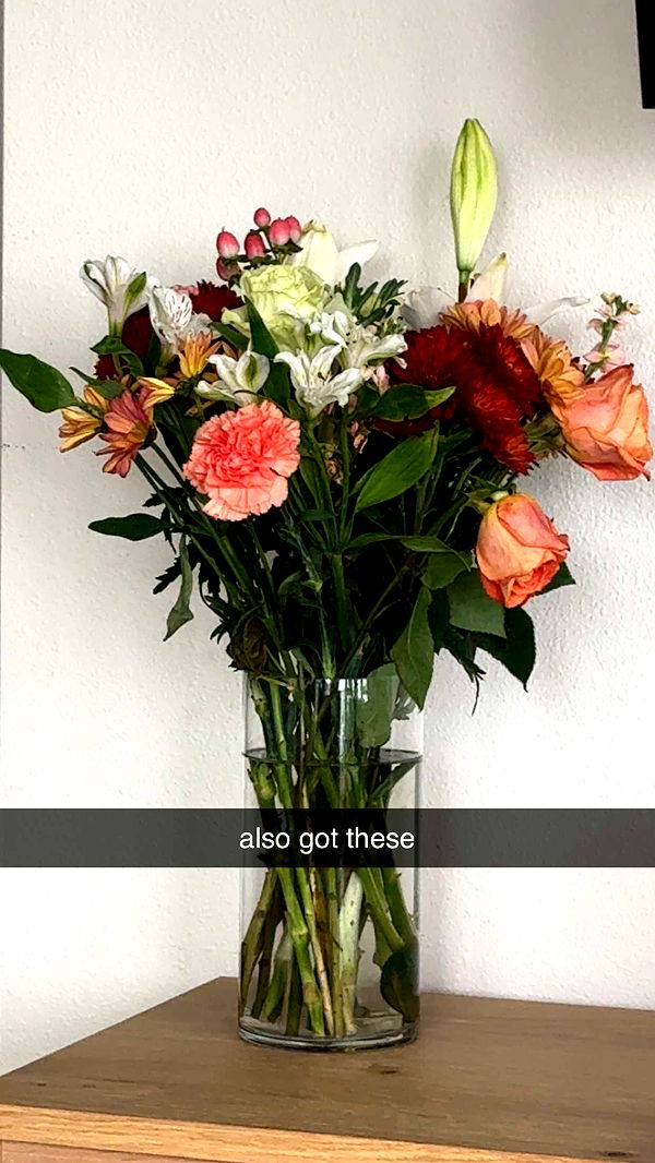 chloerosenbaum image ~ Altpins