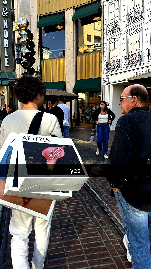 chloerosenbaum image ~ Altpins