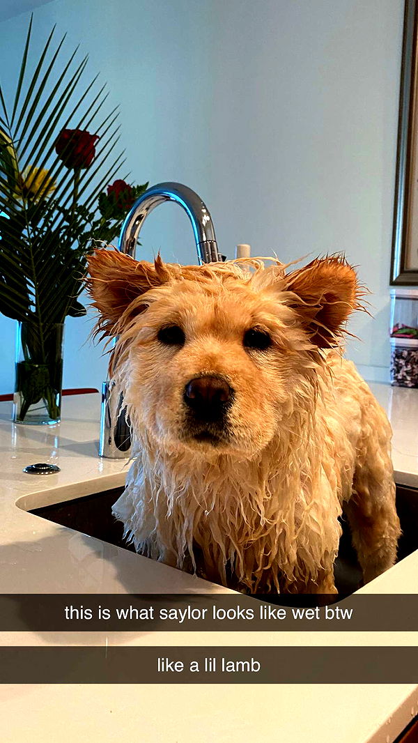 chloerosenbaum image ~ Altpins