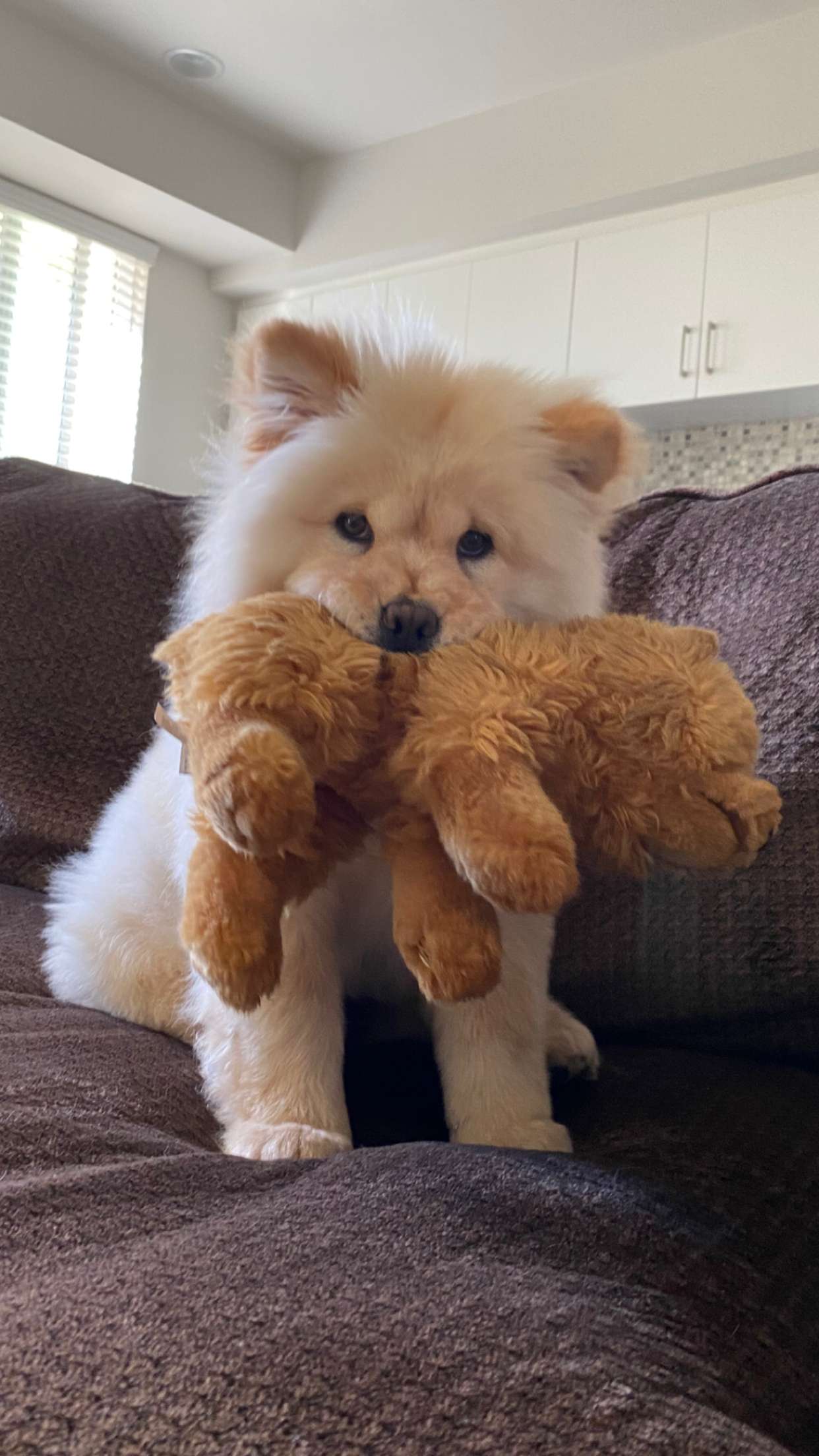 chloerosenbaum snapchat image archive image