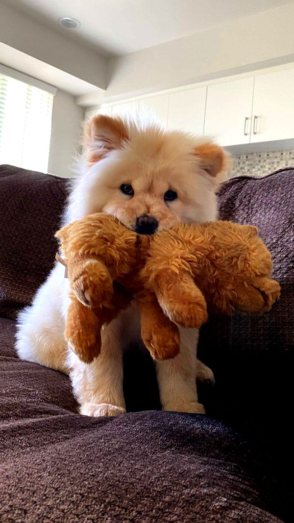 chloerosenbaum image ~ Altpins