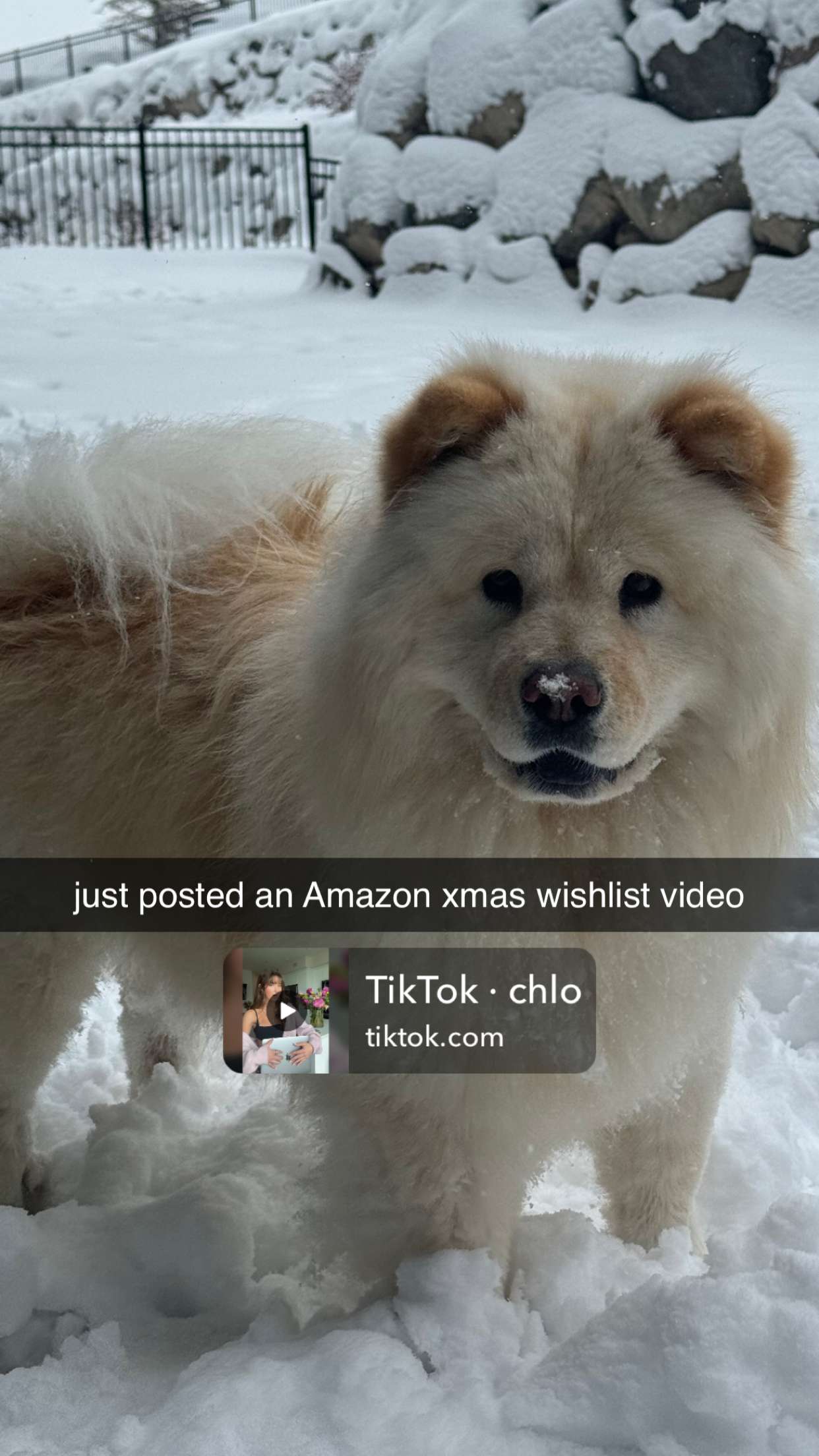 chloerosenbaum snapchat image archive image