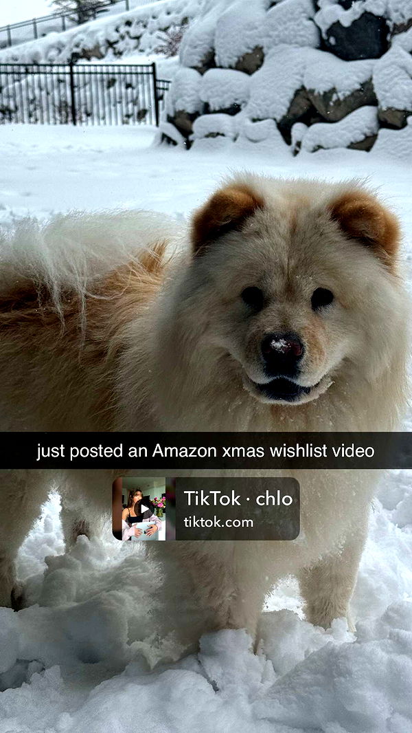 chloerosenbaum image ~ Altpins