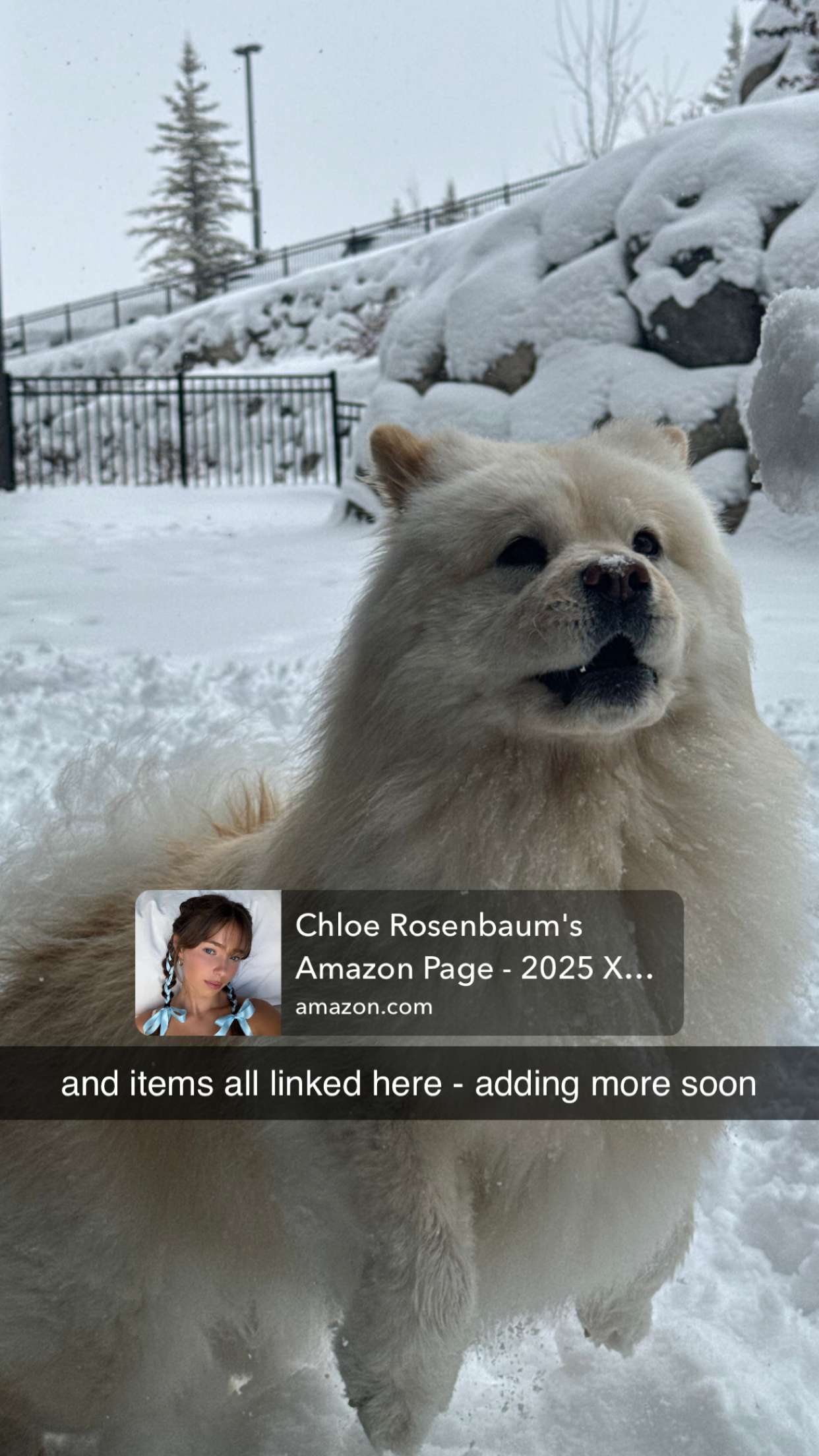 chloerosenbaum snapchat image archive image