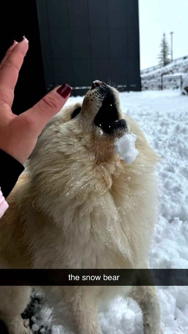 chloerosenbaum image ~ Altpins