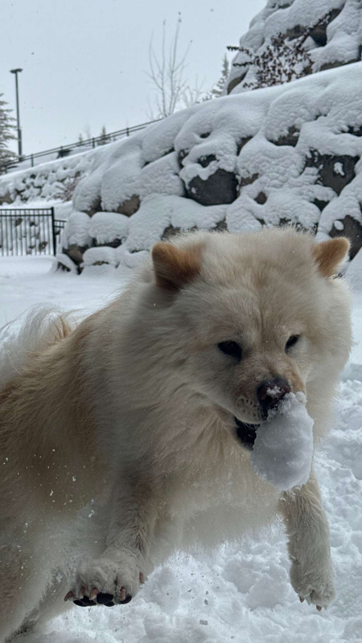 chloerosenbaum snapchat image archive image