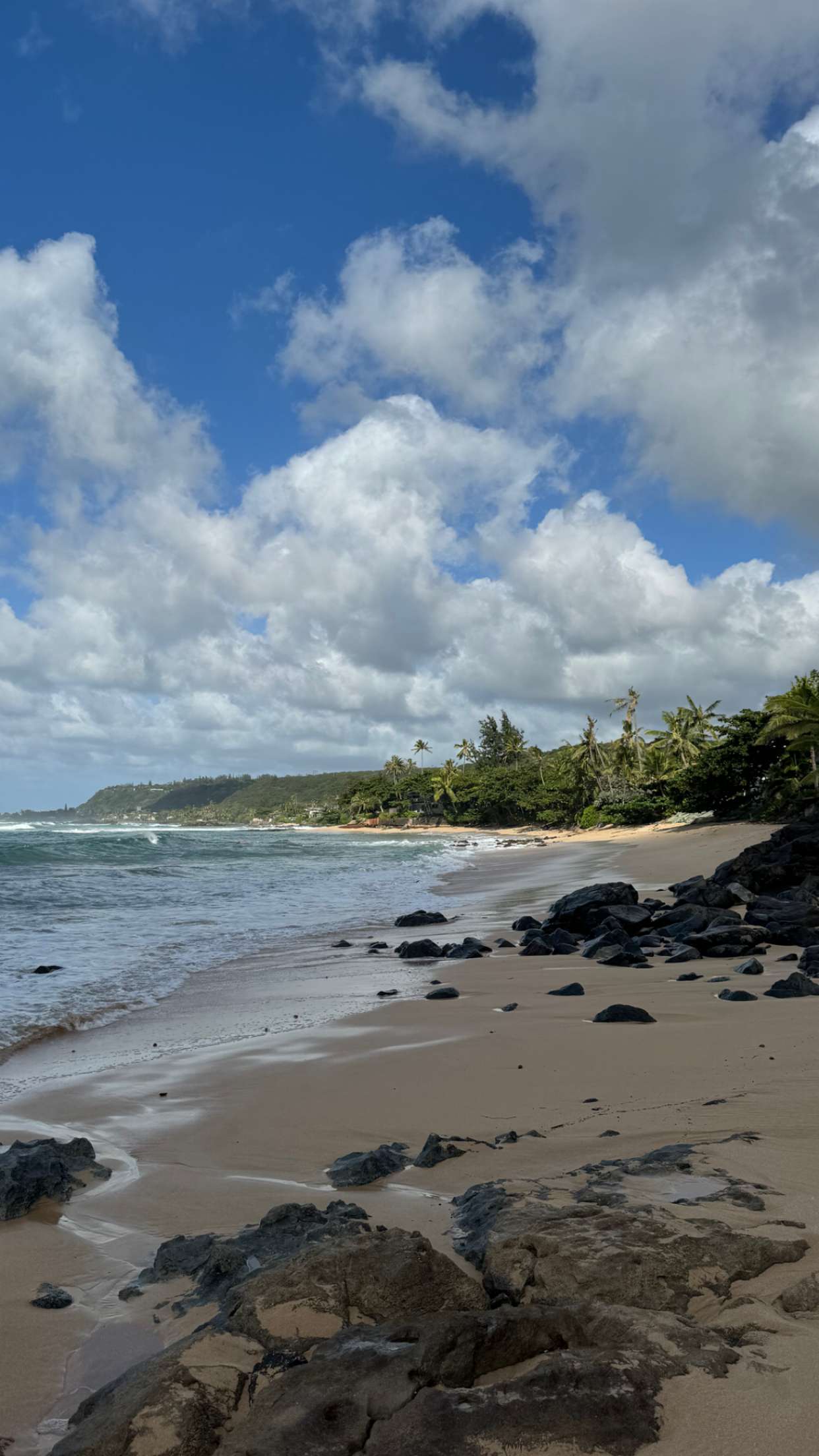 chloerosenbaum snapchat image archive image