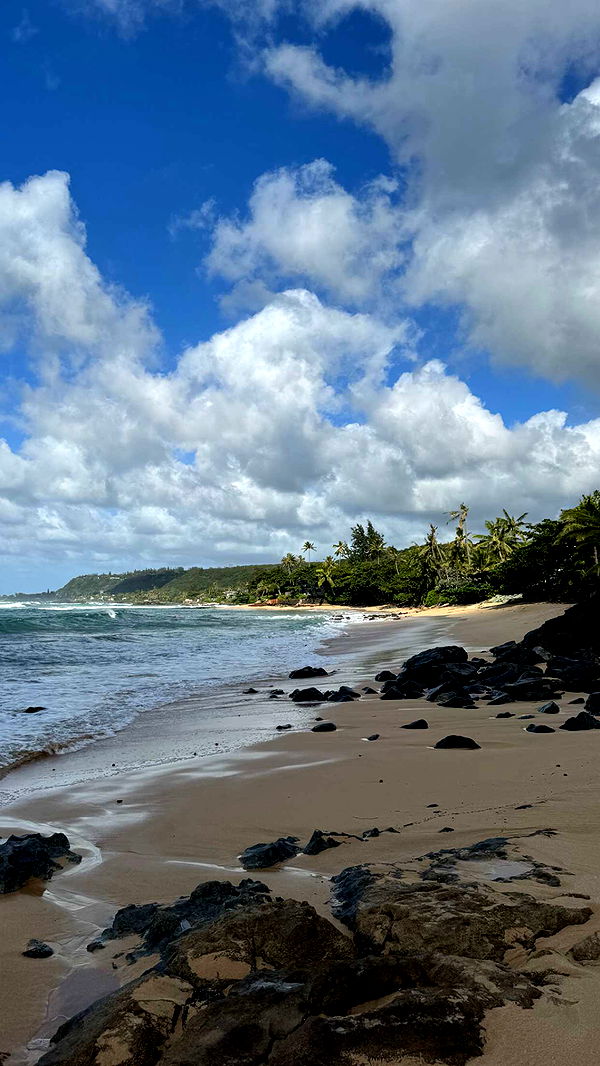 chloerosenbaum image ~ Altpins