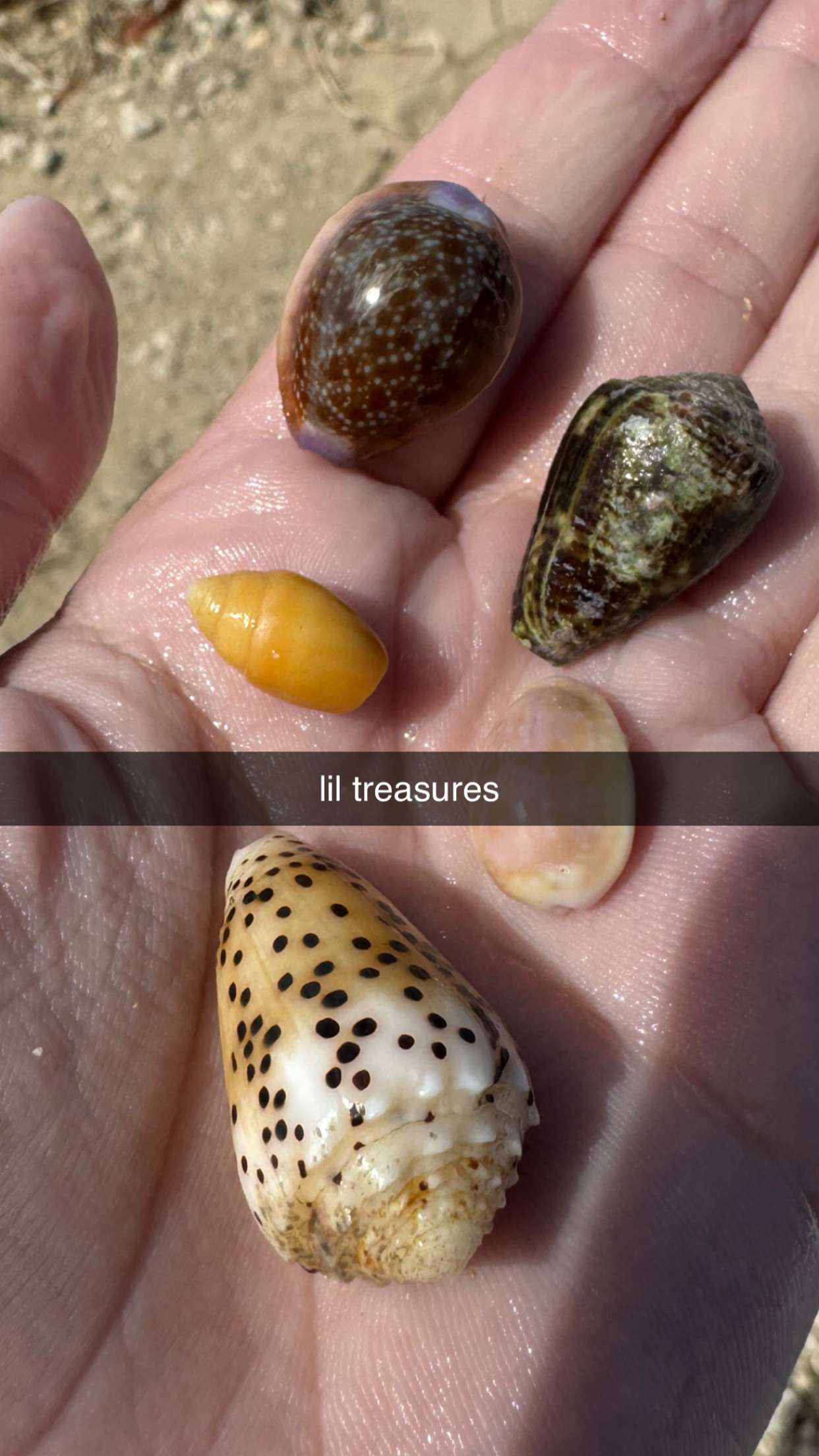 chloerosenbaum snapchat image archive image