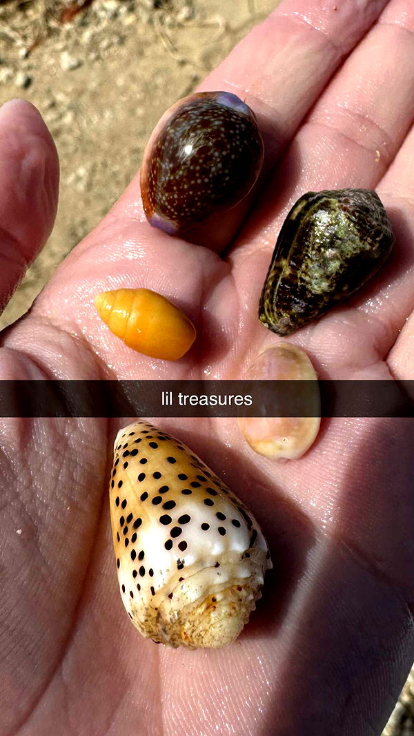 chloerosenbaum image ~ Altpins