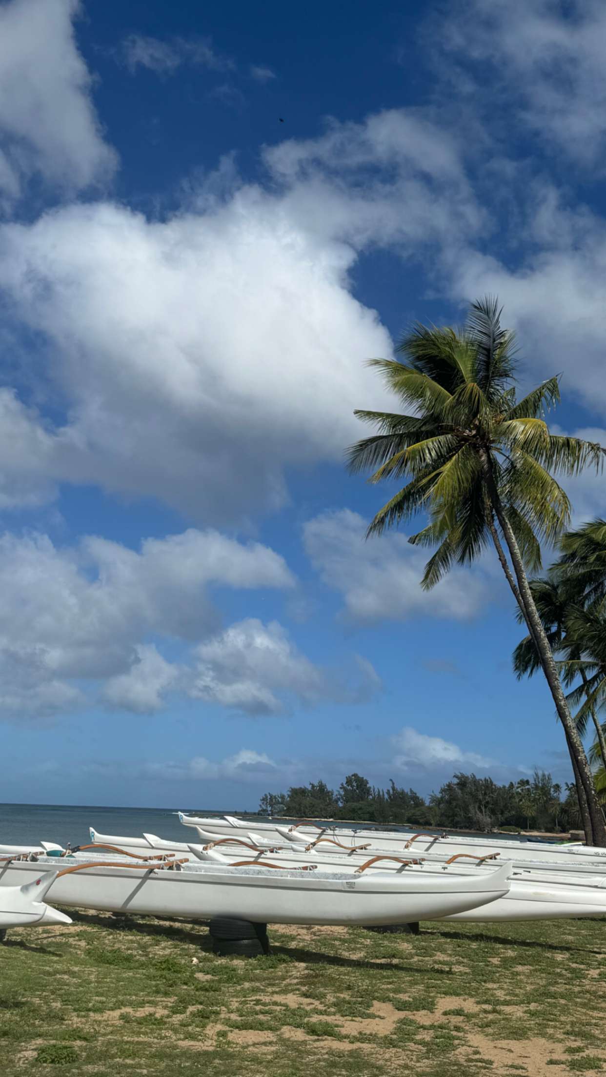 chloerosenbaum snapchat image archive image