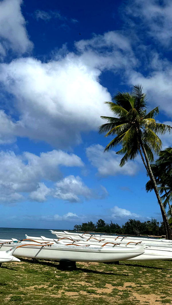 chloerosenbaum image ~ Altpins