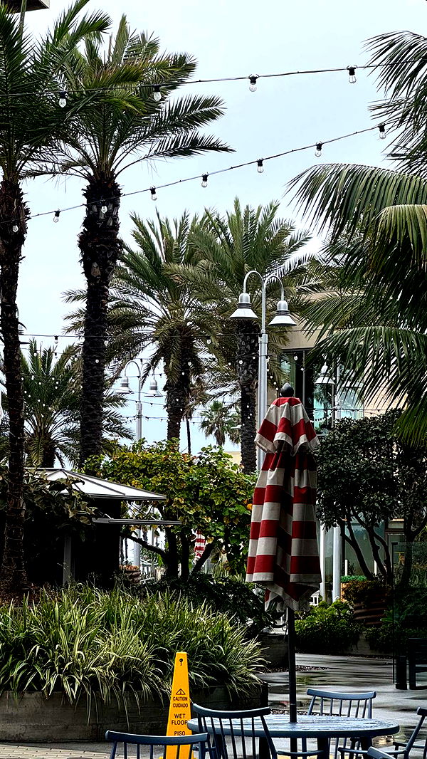 chloerosenbaum image ~ Altpins