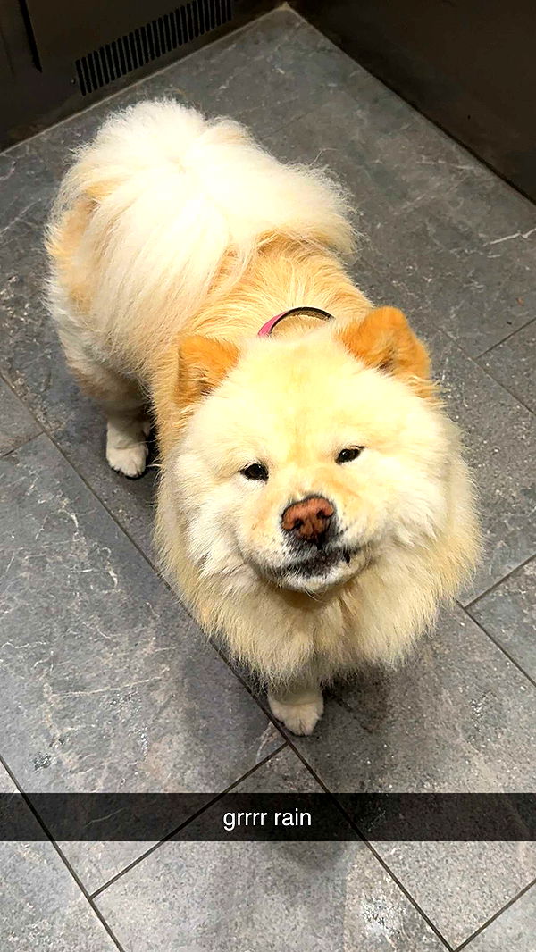 chloerosenbaum image ~ Altpins