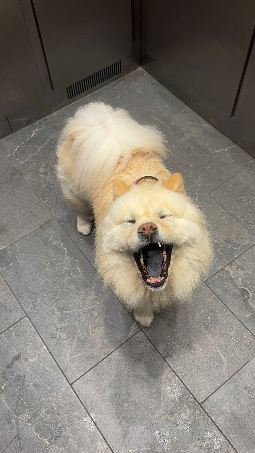 chloerosenbaum snapchat image archive image