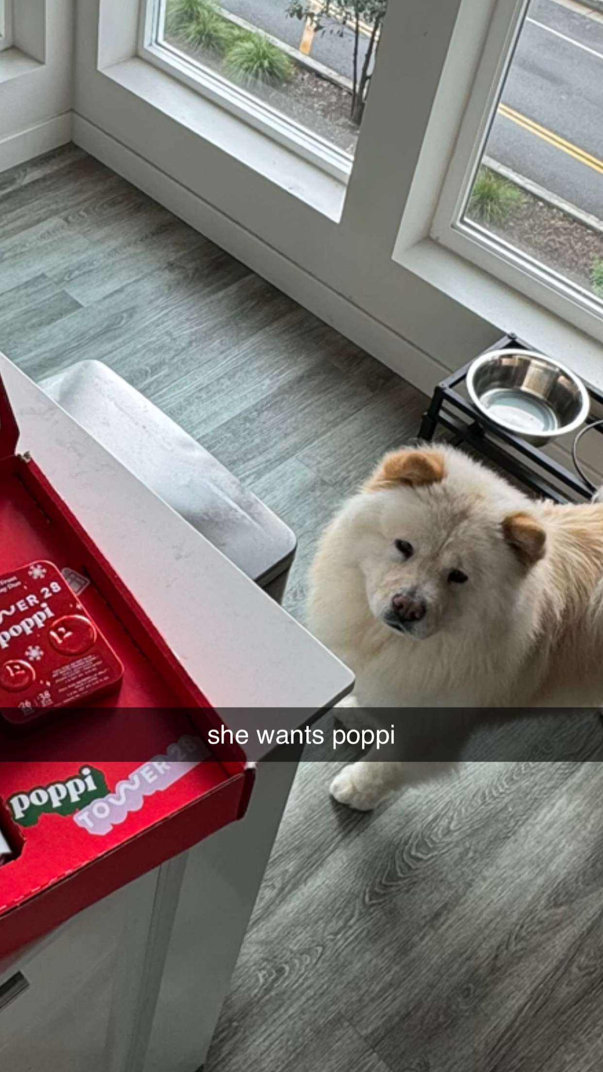 chloerosenbaum snapchat image archive image