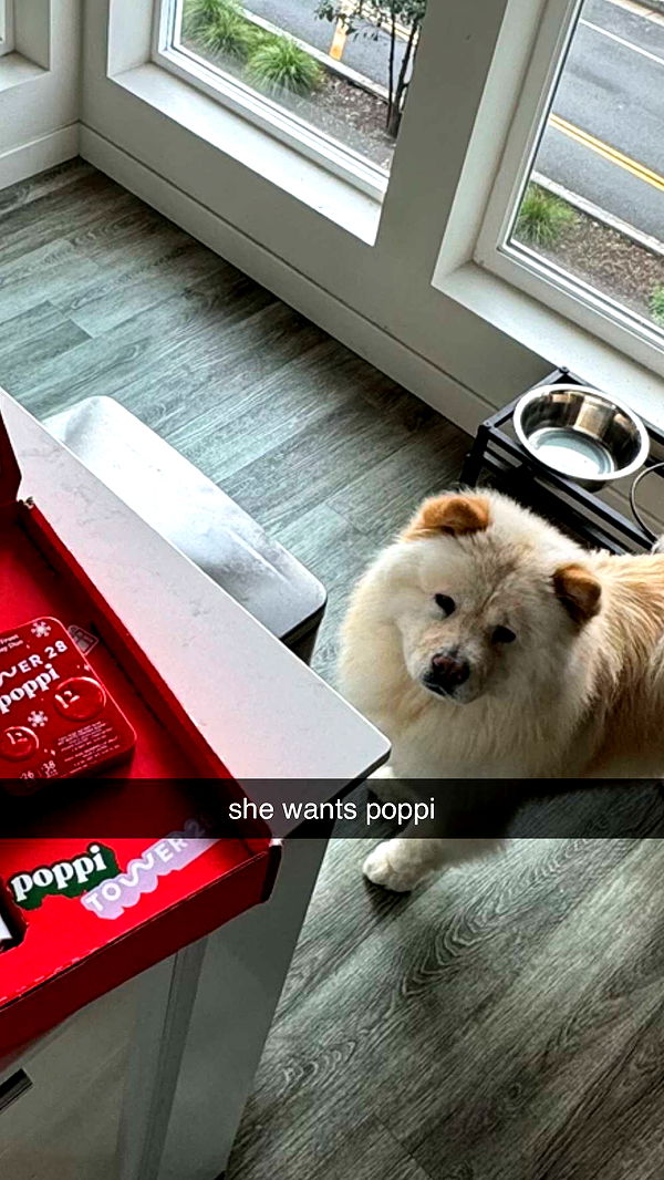 chloerosenbaum image ~ Altpins