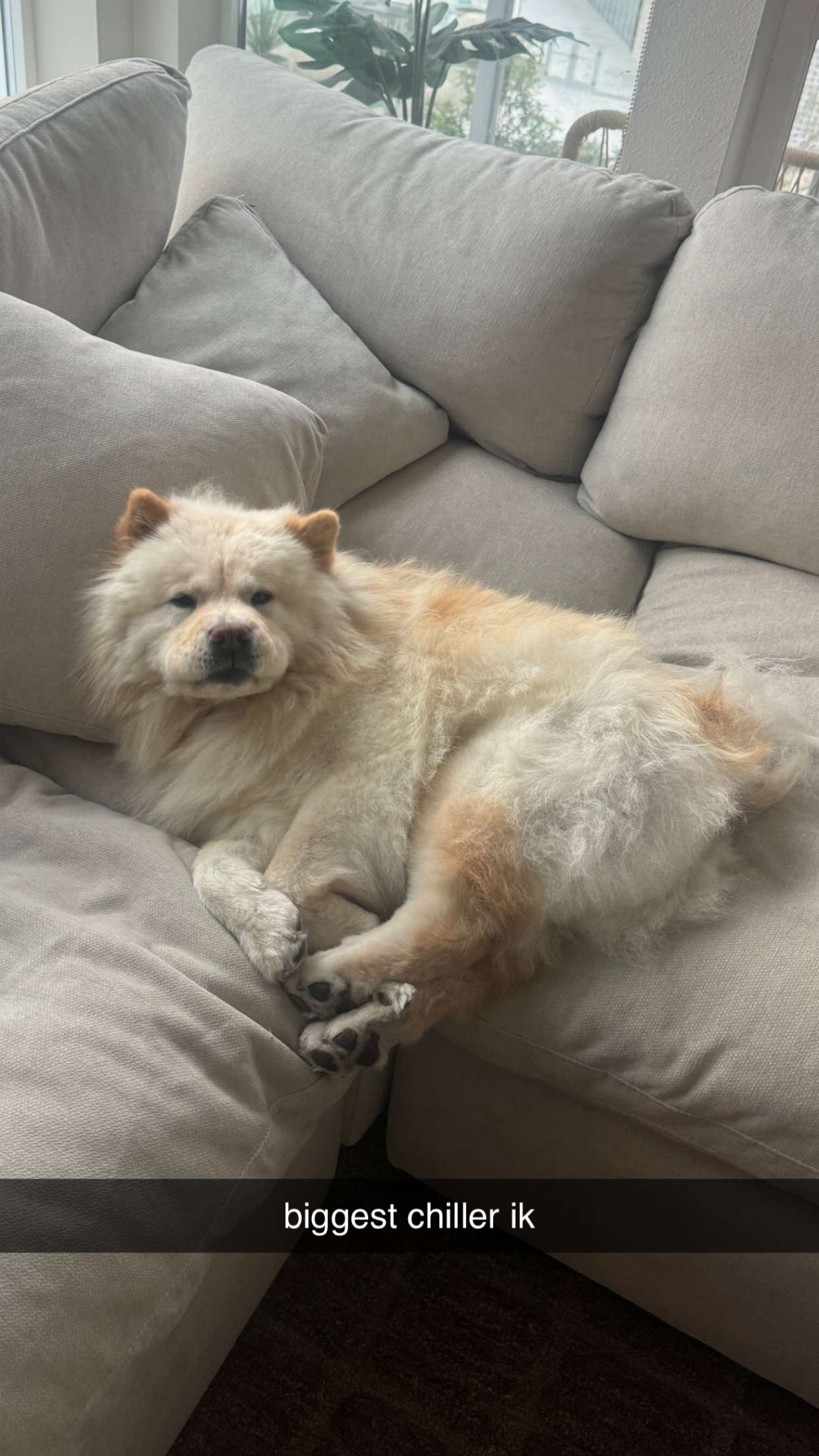 chloerosenbaum snapchat image archive image