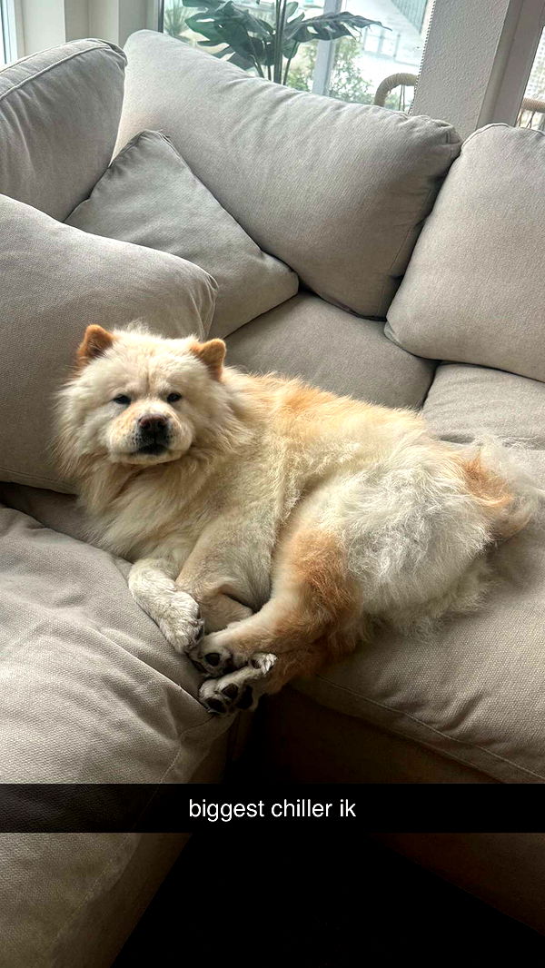 chloerosenbaum image ~ Altpins