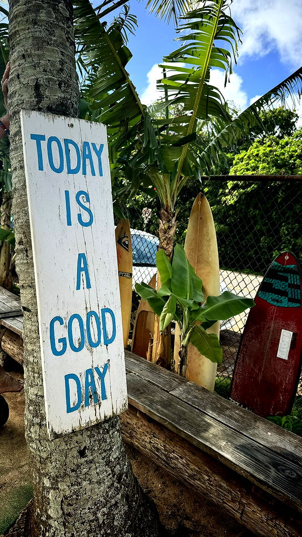 chloerosenbaum image ~ Altpins