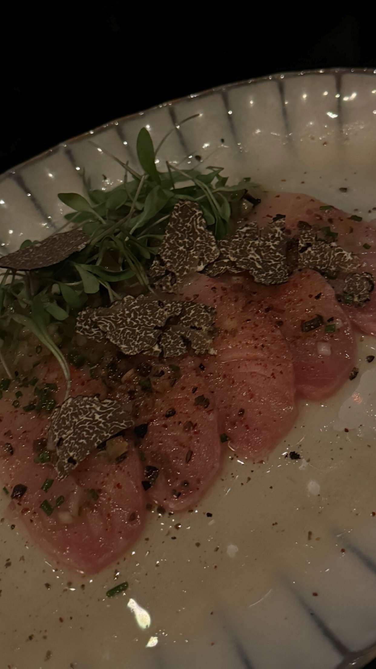 chloerosenbaum snapchat image archive image