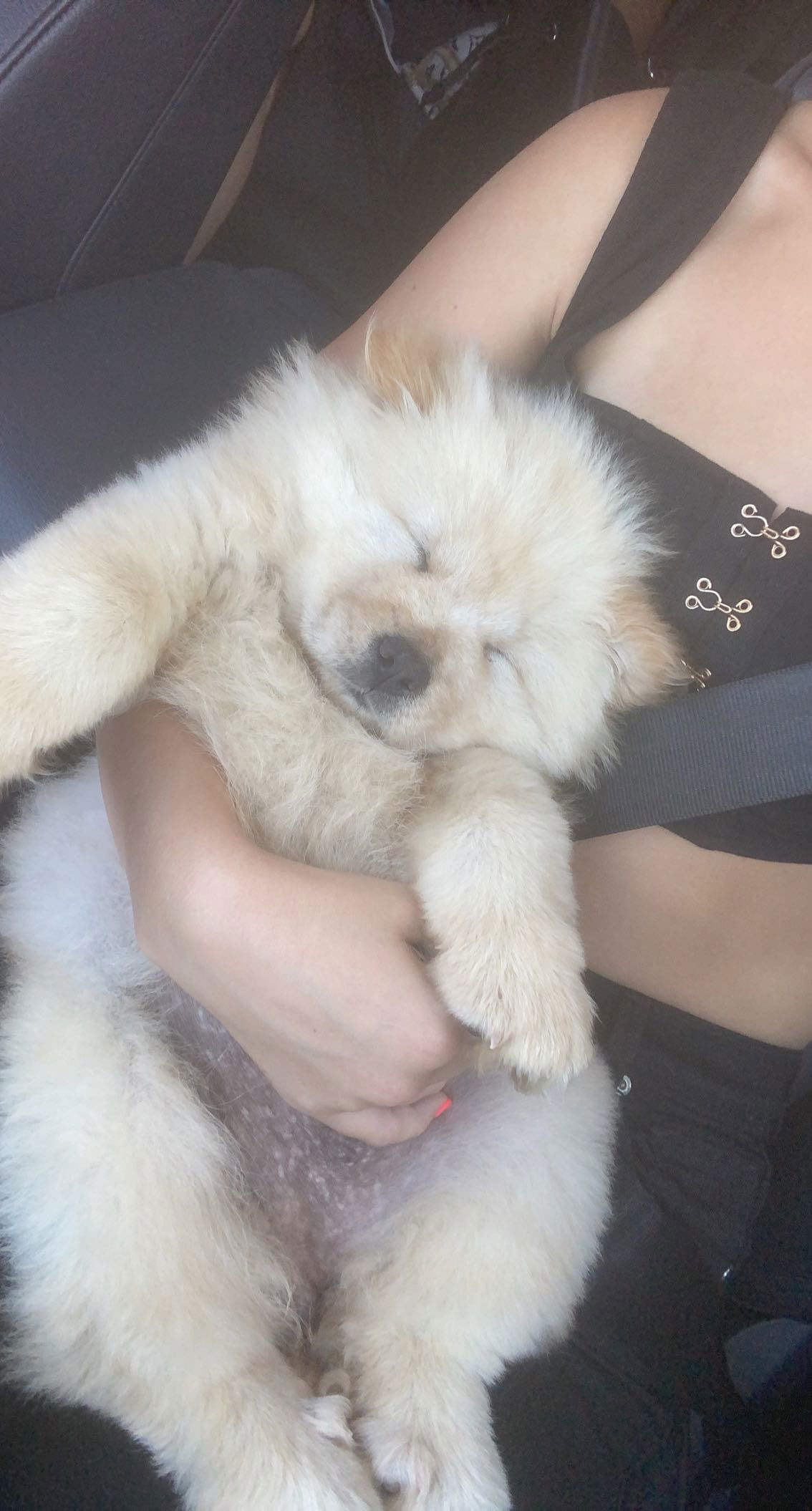 chloerosenbaum snapchat image archive image