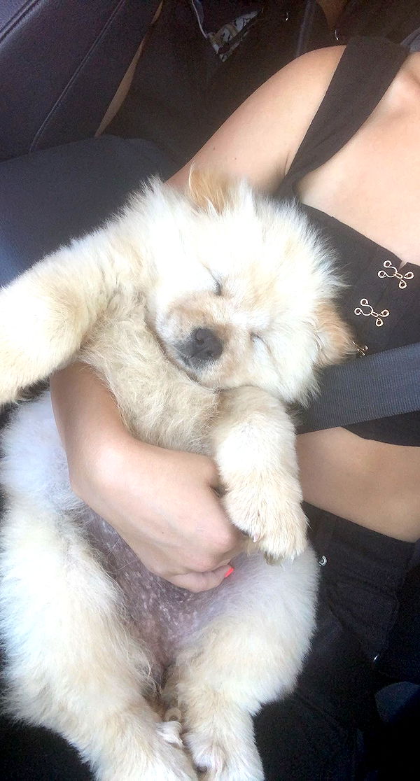 chloerosenbaum image ~ Altpins