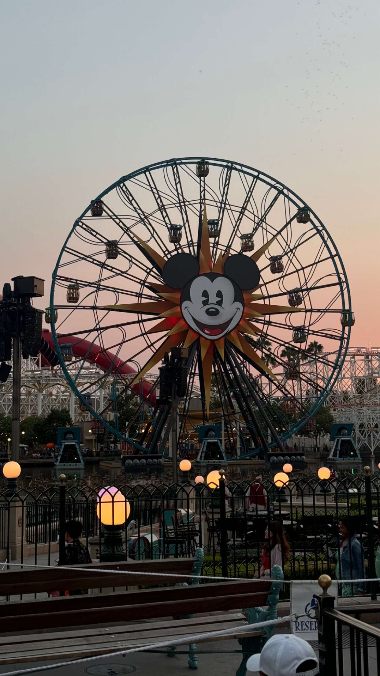 chloerosenbaum snapchat image archive image